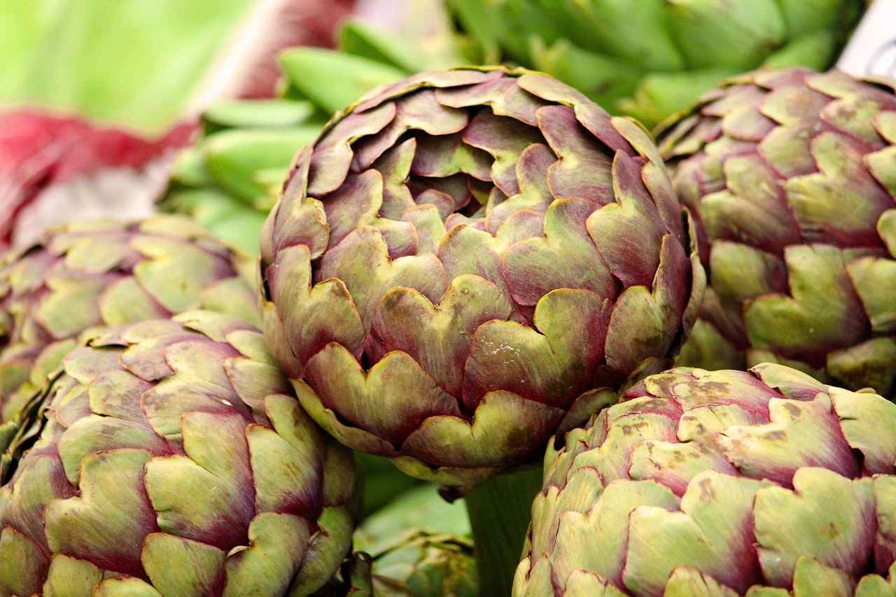 Potential Side Effects of Artichoke Extract