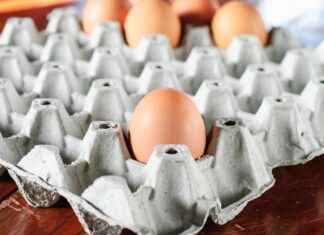 Exploring the Digestive Aid Benefits of Amylase Supplements Exploring the Digestive Aid Benefits of Amylase Supplements