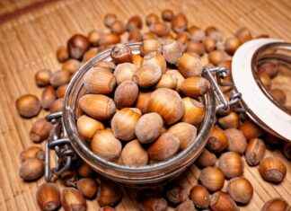 Exploring the Energy-Enhancing Properties of Kola Nut Exploring the Energy-Enhancing Properties of Kola Nut