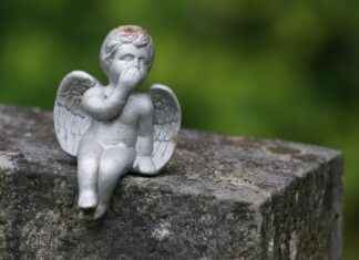 Exploring the Heart-Healthy Effects of Omega-3 Krill Oil Exploring the Heart-Healthy Effects of Omega-3 Krill Oil