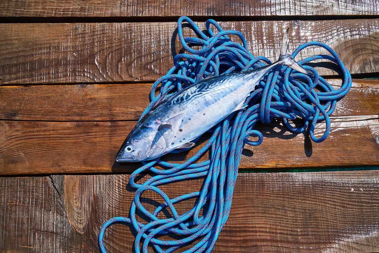 Exploring the Heart-Healthy Effects of Omega-3 Krill Oil 3 How Does Krill Oil Compare to Fish Oil?