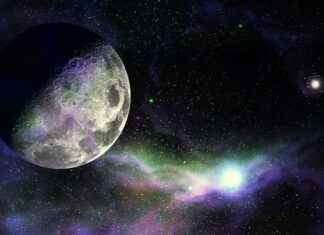 Exploring the Immune System Strengthening Effects of Colostrum Supplements Exploring the Immune System Strengthening Effects of Colostrum Supplements