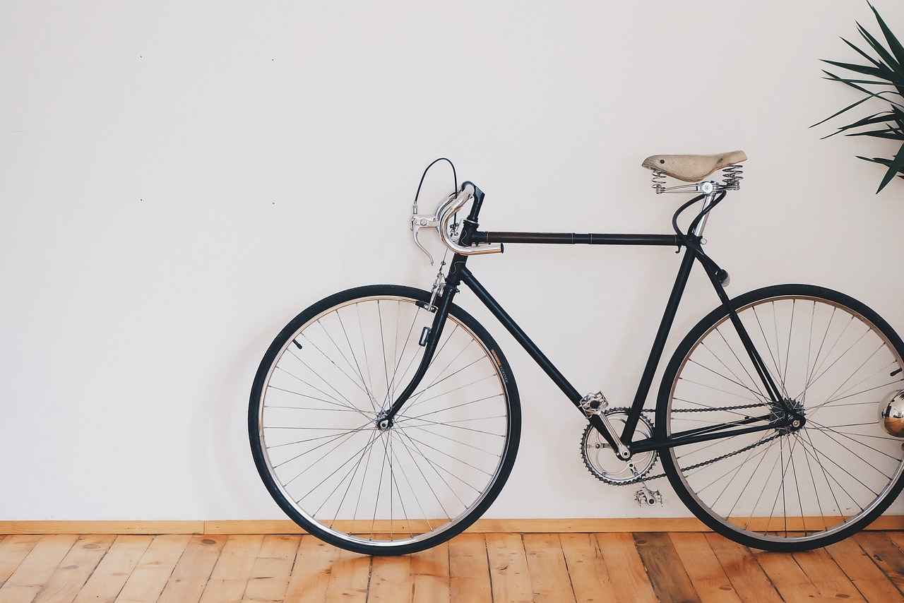 What is an Electric Bike?