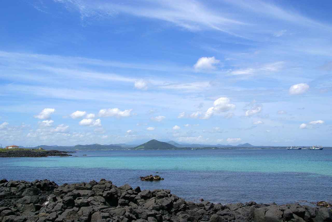 Exploring the Metabolism-Boosting Effects of L-Carnitine 3 Sources of L-Carnitine