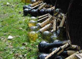 Exploring the Mood Stabilizing Properties of Griffonia Seed Extract Exploring the Mood Stabilizing Properties of Griffonia Seed Extract