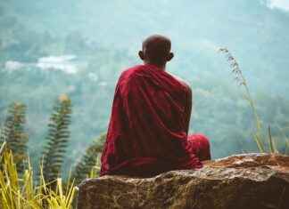 Exploring the Natural Sweetness of Monk Fruit Extract Exploring the Natural Sweetness of Monk Fruit Extract