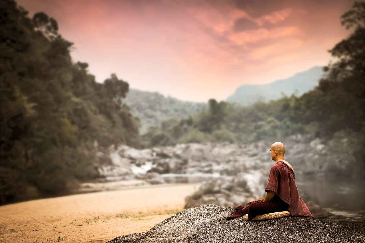 Exploring the Natural Sweetness of Monk Fruit Extract 3 How to Use Monk Fruit Extract in Cooking