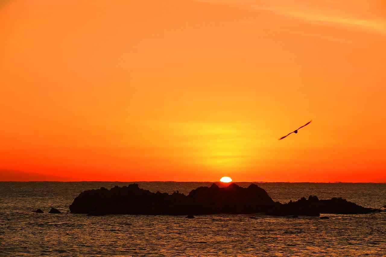 Exploring the Powerful Benefits of Omega-3 Fish Oil Supplements 6 Conclusion: The Importance of Omega-3 Fish Oil