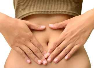 Exploring the Probiotic Benefits of Lactobacillus Plantarum Exploring the Probiotic Benefits of Lactobacillus Plantarum