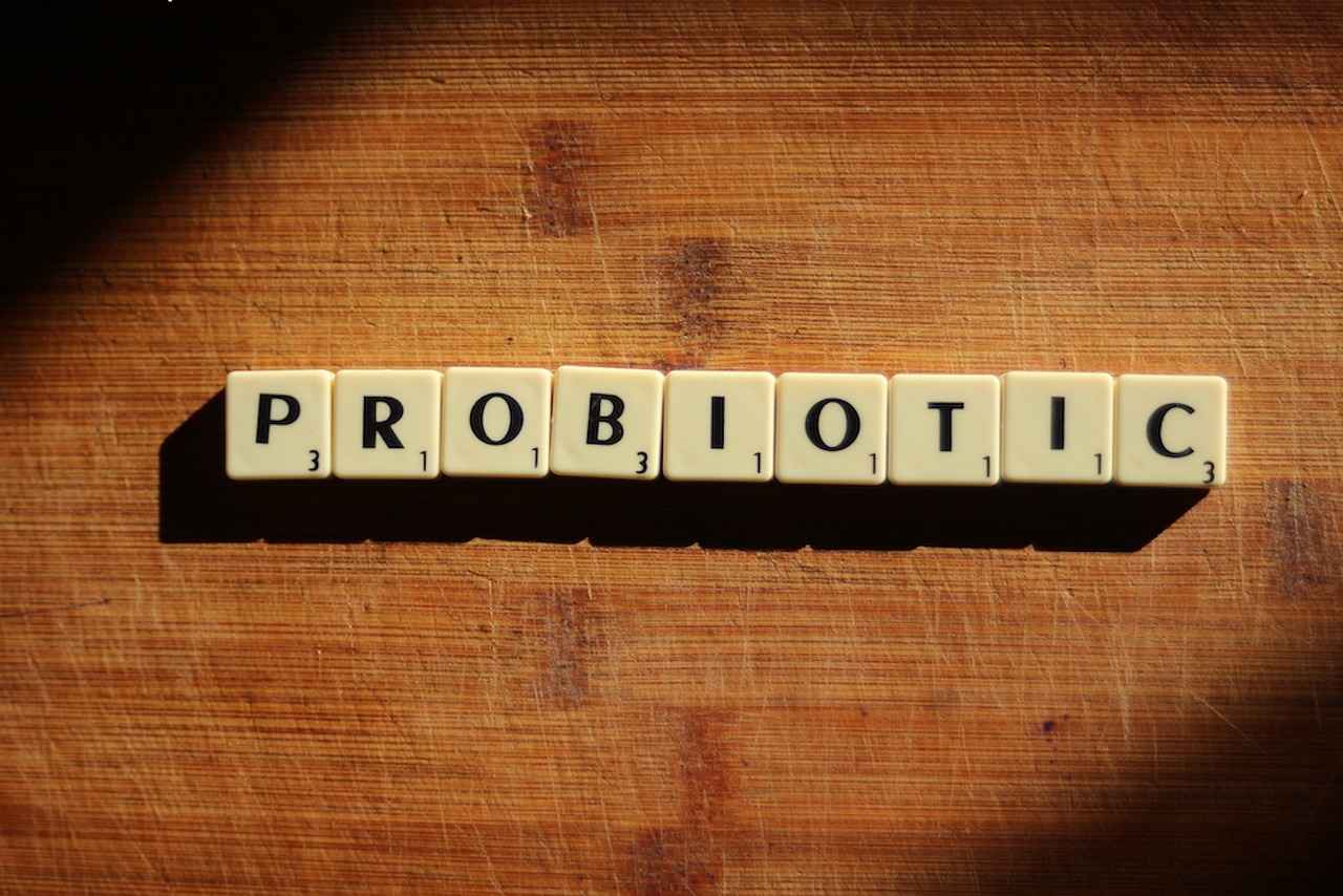 Exploring the Probiotic Benefits of Lactobacillus Plantarum 3 Sources of Lactobacillus Plantarum
