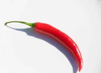 Exploring the Thermogenic Effects of Cayenne Pepper Extract Exploring the Thermogenic Effects of Cayenne Pepper Extract