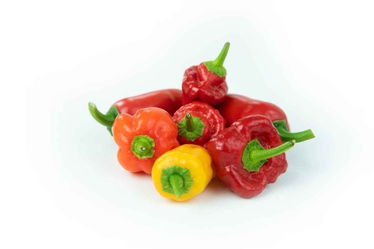 Exploring the Thermogenic Effects of Cayenne Pepper Extract 4 Potential Side Effects and Considerations