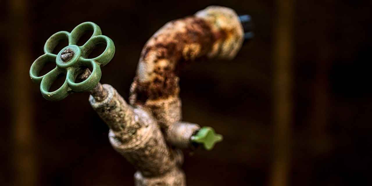 Exploring the Thyroid-Supportive Properties of Selenium 3 Sources of Selenium