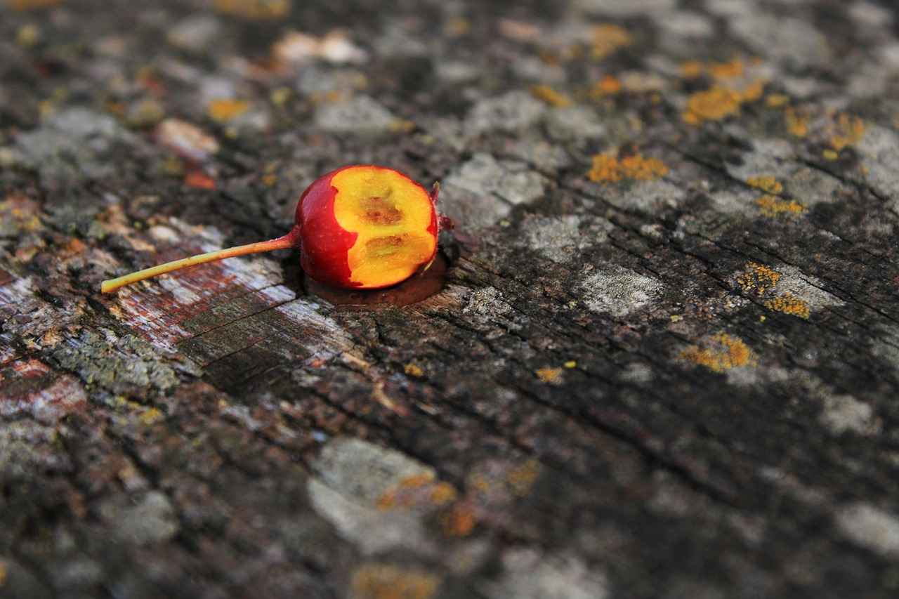 Potential Side Effects and Considerations