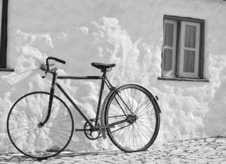 Exploring the Weight Management Power of White Kidney Bean Extract Exploring the Weight Management Power of White Kidney Bean Extract