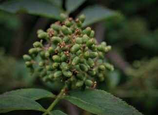 Facehugger Phone Holders: A Fun Way to Mount Your Device Facehugger Phone Holders: A Fun Way to Mount Your Device