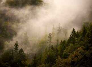 Fall Movies for Kids: Cozy Films for Chilly Nights Fall Movies for Kids: Cozy Films for Chilly Nights