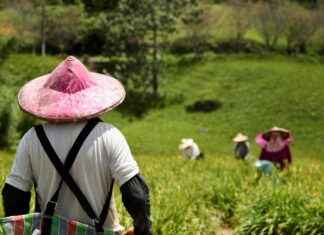 Fasting Blood Work and Water: What You Need to Know Fasting Blood Work and Water: What You Need to Know