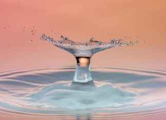 Fat Loss on a Water Fast: How Much Can You Lose? Fat Loss on a Water Fast: How Much Can You Lose?