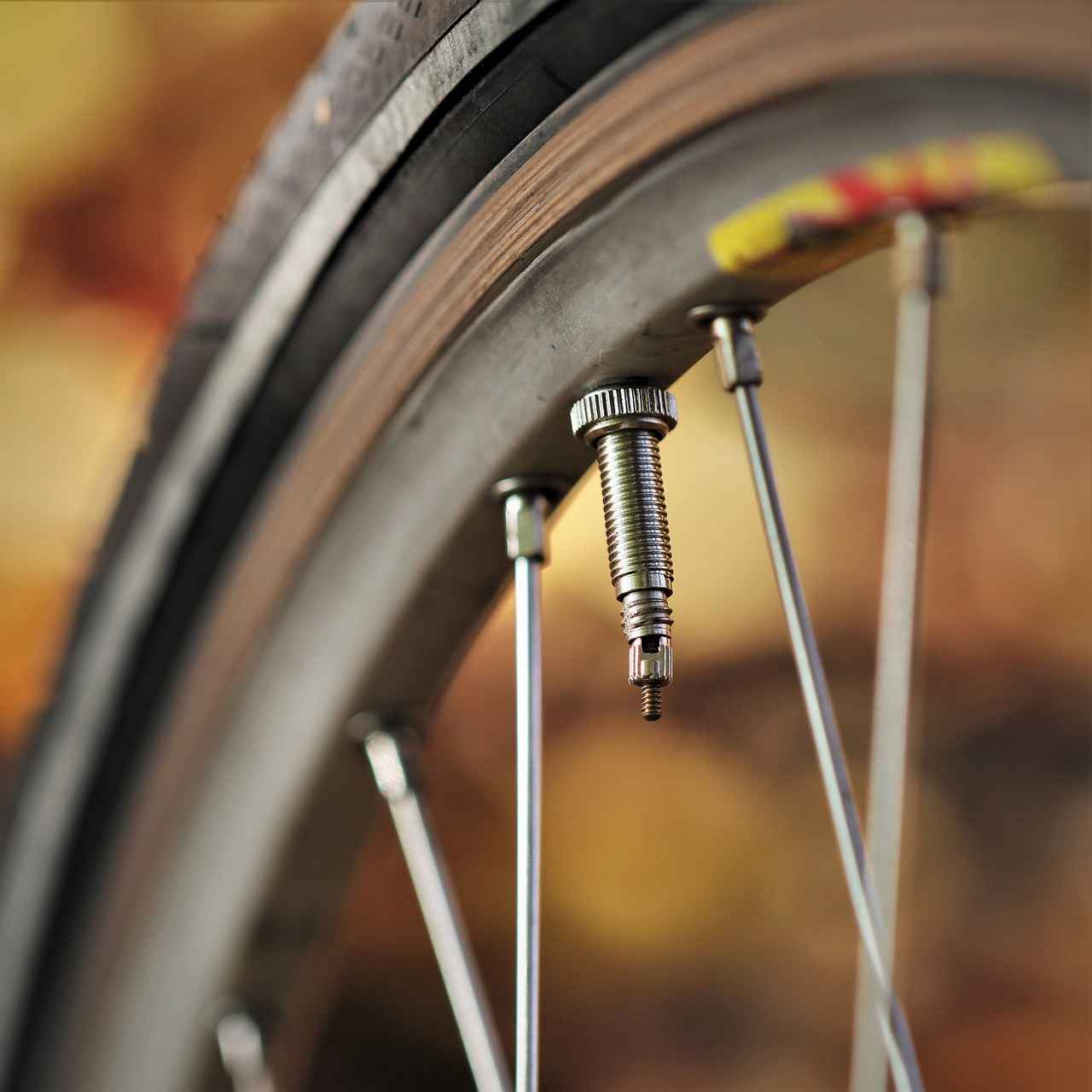 Fat Tire Electric Bikes: How They Perform on Different Terrains 5 Conclusion: The Future of Fat Tire Electric Bikes