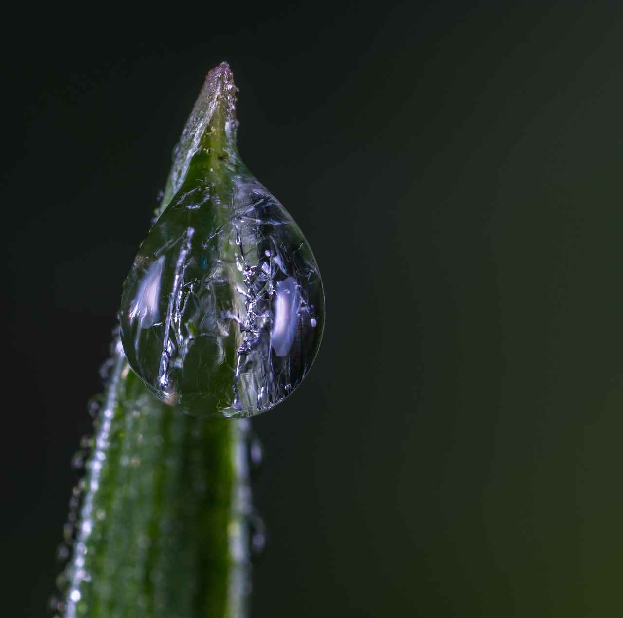 What Are Faux Pearls?