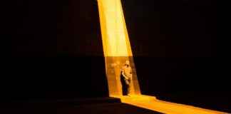 Festival of Lights Delights: A Guide to the Best Light Displays This Season Festival of Lights Delights: A Guide to the Best Light Displays This Season