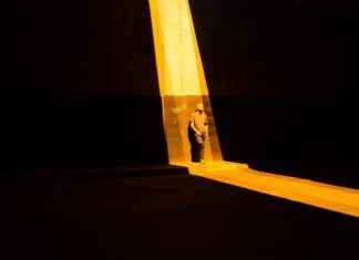 Festival of Lights Delights: A Guide to the Best Light Displays This Season Festival of Lights Delights: A Guide to the Best Light Displays This Season