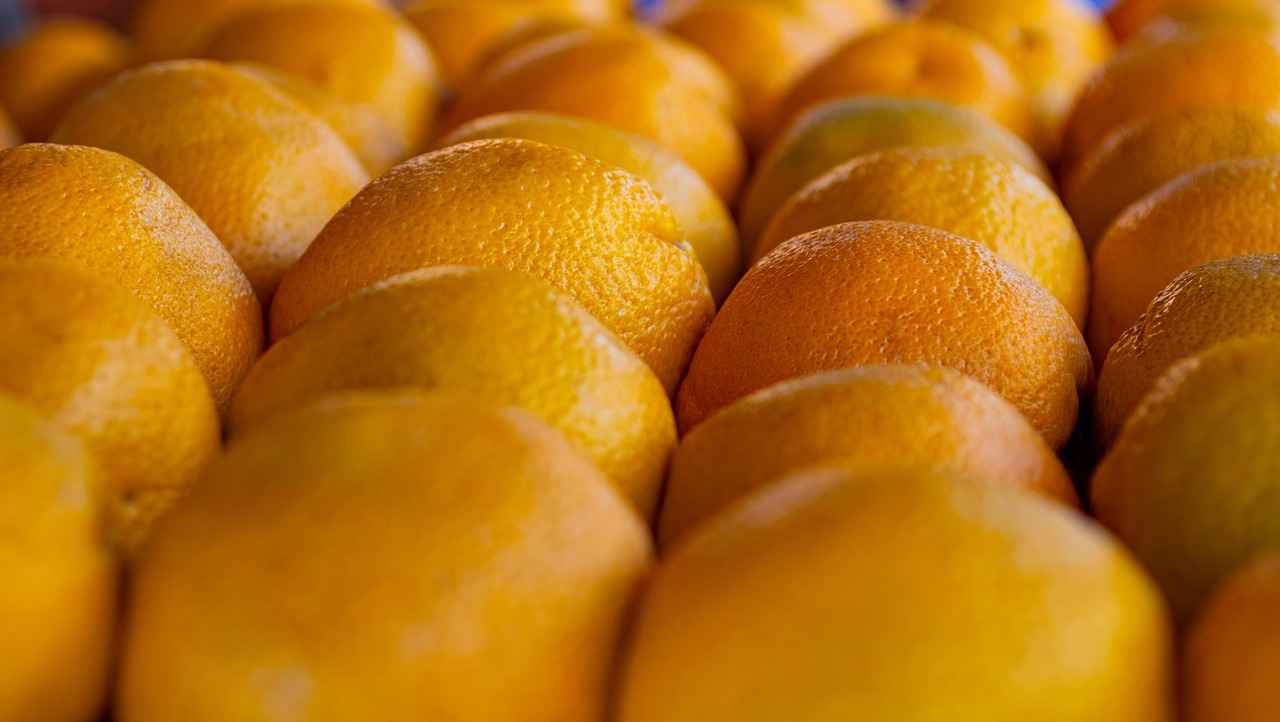 Major Indices Performance