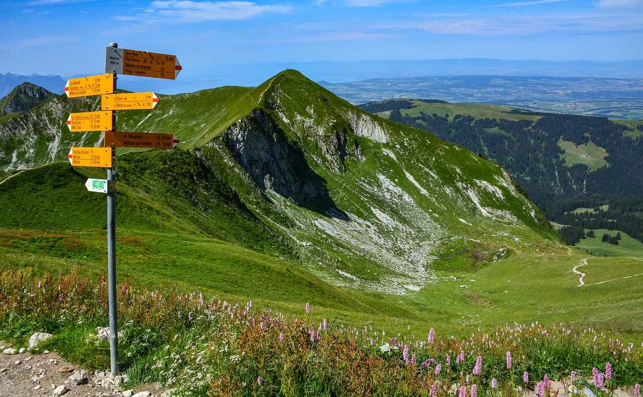 Impact of Economic Indicators