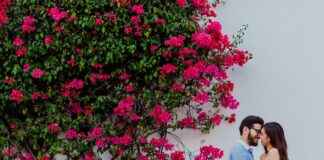 Fling Login Guide: Dating Platform Features & Privacy Tips Fling Login Guide: Dating Platform Features & Privacy Tips