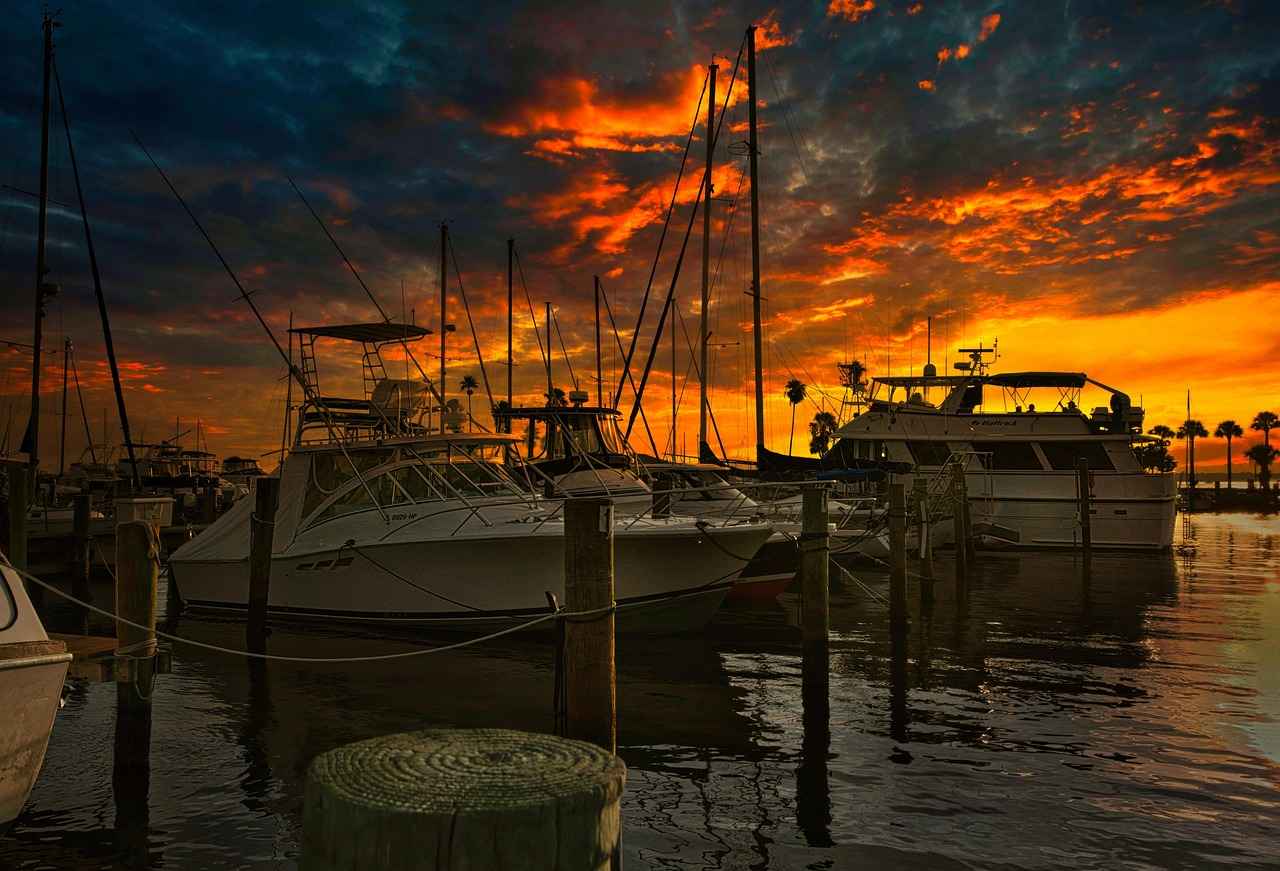 Key Player Performances