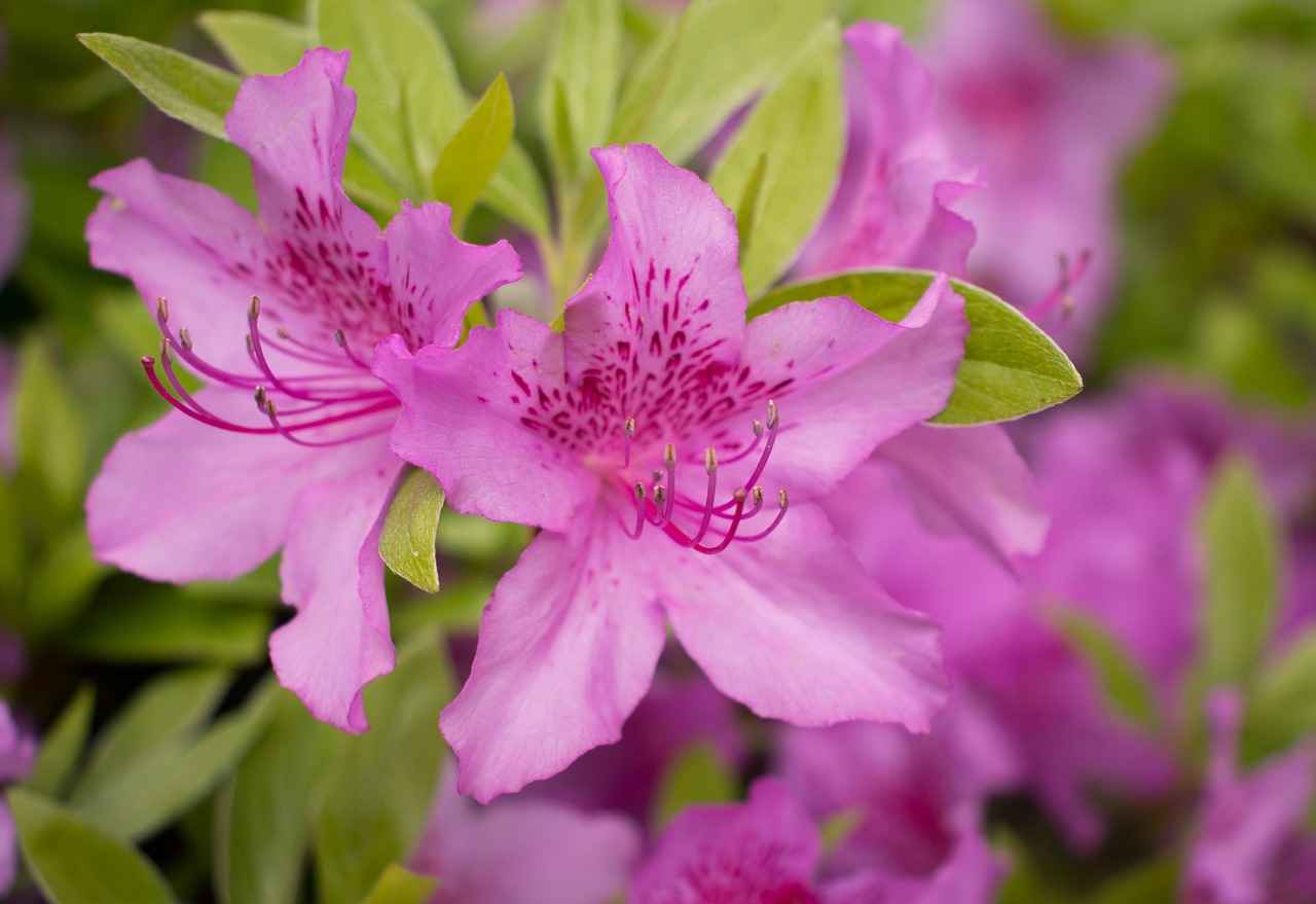 What to Expect During Recovery