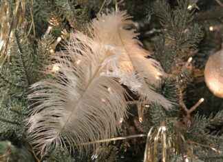 Free Christmas Movies for Kids: Streamable Holiday Classics Free Christmas Movies for Kids: Streamable Holiday Classics