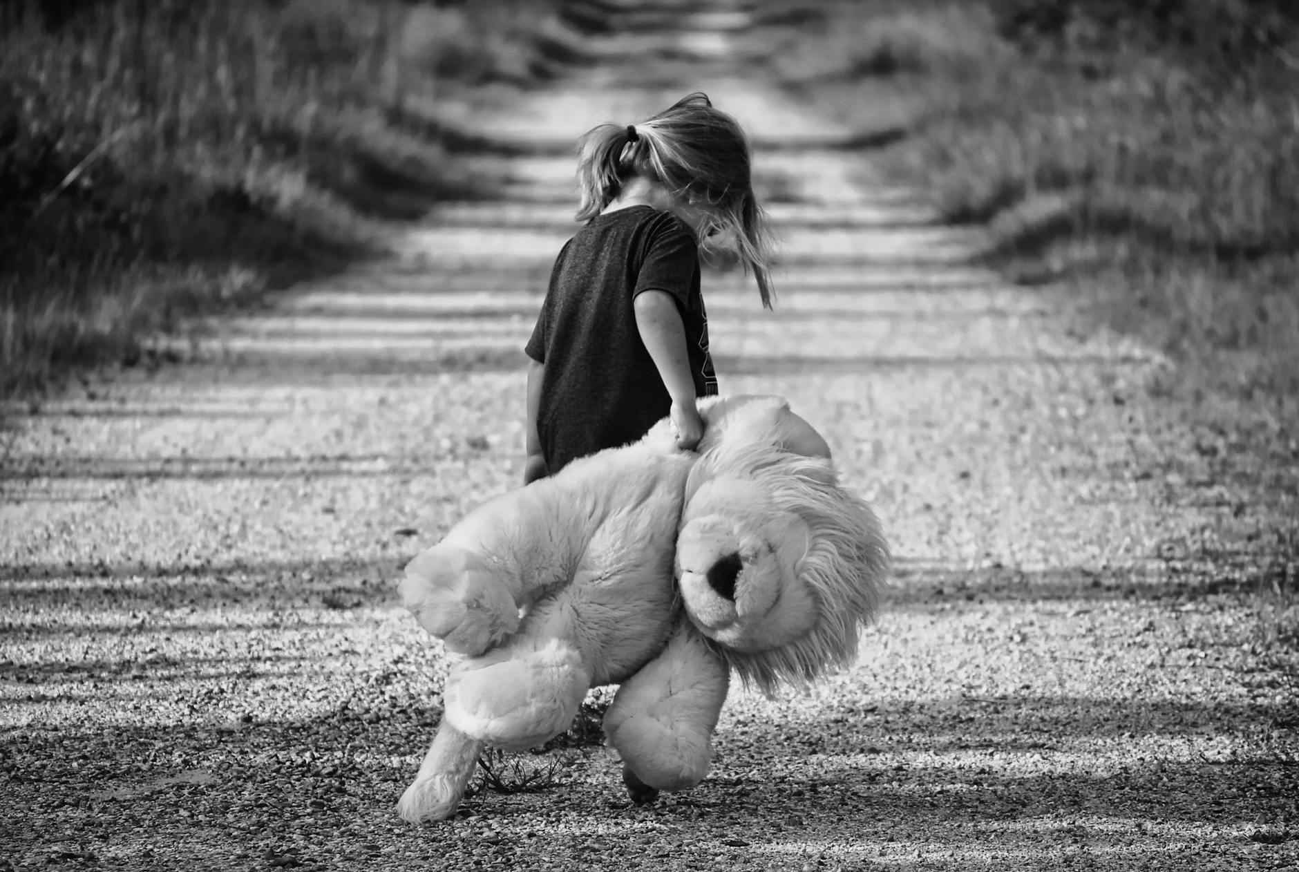 Conclusion: A Journey Worth Taking