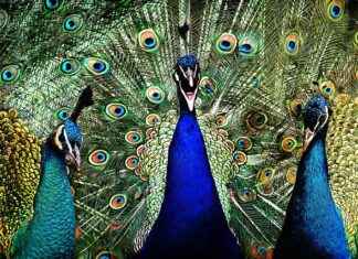 Funny 123 Movie Names We’ve Seen in 2025 Funny 123 Movie Names We’ve Seen in 2025