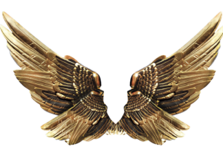 Gold vs. Silver Earrings: Which One Should You Choose? Gold vs. Silver Earrings: Which One Should You Choose?