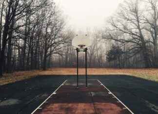 Golden State Warriors vs Sacramento Kings Match Player Stats Golden State Warriors vs Sacramento Kings Match Player Stats