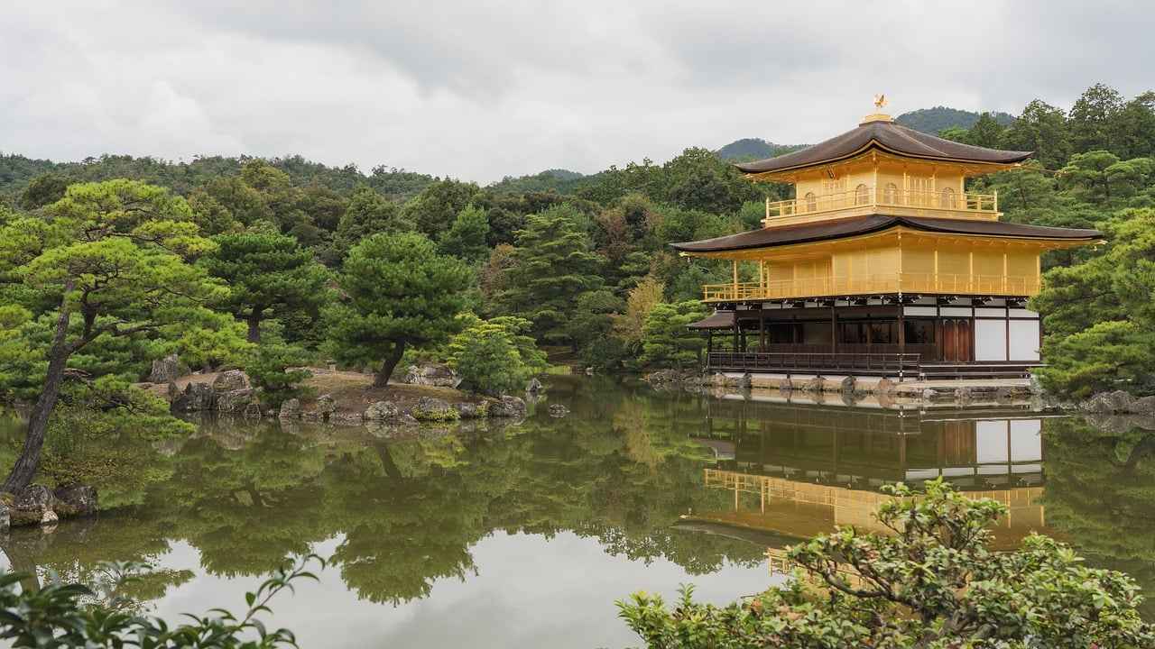 Injury Updates and Their Effects