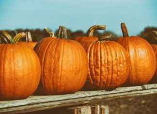 Good Halloween Movies for Kids: Scary Fun Without the Frights Good Halloween Movies for Kids: Scary Fun Without the Frights