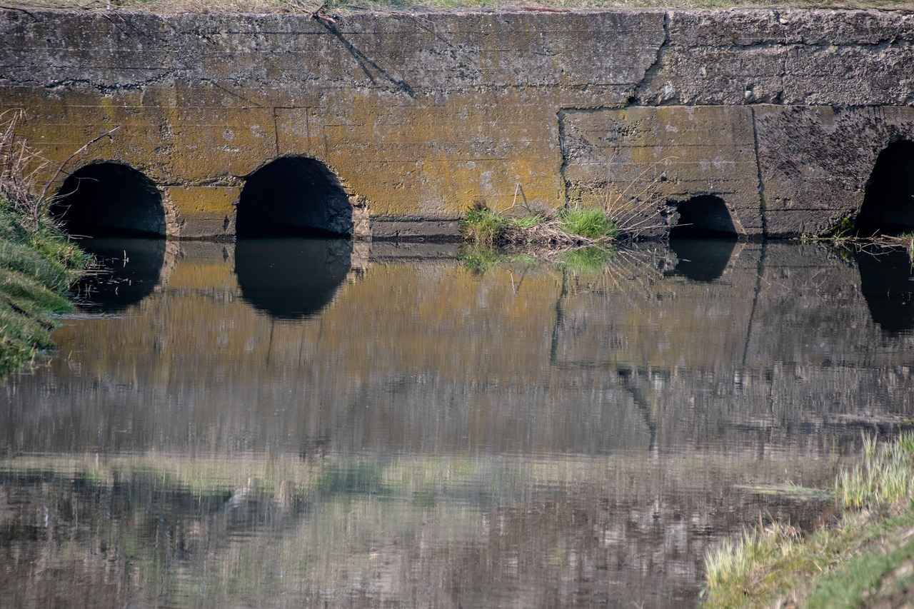 Goodnever.com Mystery: What’s Behind the Name and Domain? 3 Exploring the Concept of 'Good Never'