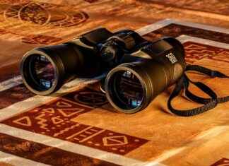 Google Home Smart Devices: What Makes Them So Popular? Google Home Smart Devices: What Makes Them So Popular?