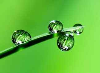 Green Bay Packers vs Chicago Bears Match Player Stats Green Bay Packers vs Chicago Bears Match Player Stats