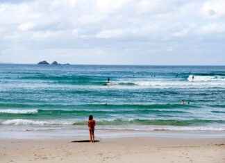 Green Bay Packers vs. Chicago Bears: Player Stats and Key Highlights Green Bay Packers vs. Chicago Bears: Player Stats and Key Highlights