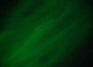 Green Bay Packers vs Detroit Lions Match Player Stats Green Bay Packers vs Detroit Lions Match Player Stats