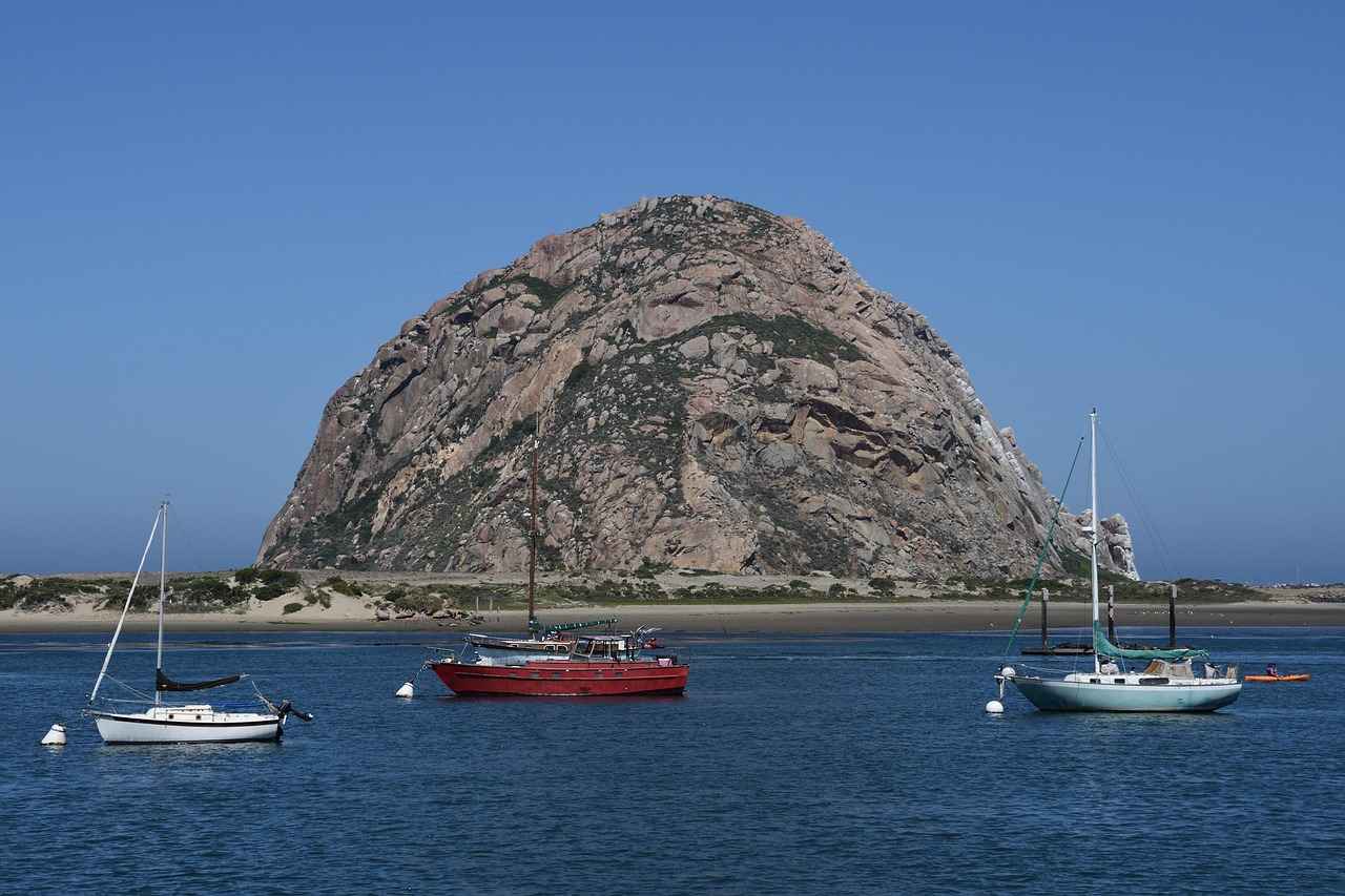 Green Bay Packers vs. Minnesota Vikings: Top Performers and Game Analysis 5 Fan and Media Reactions