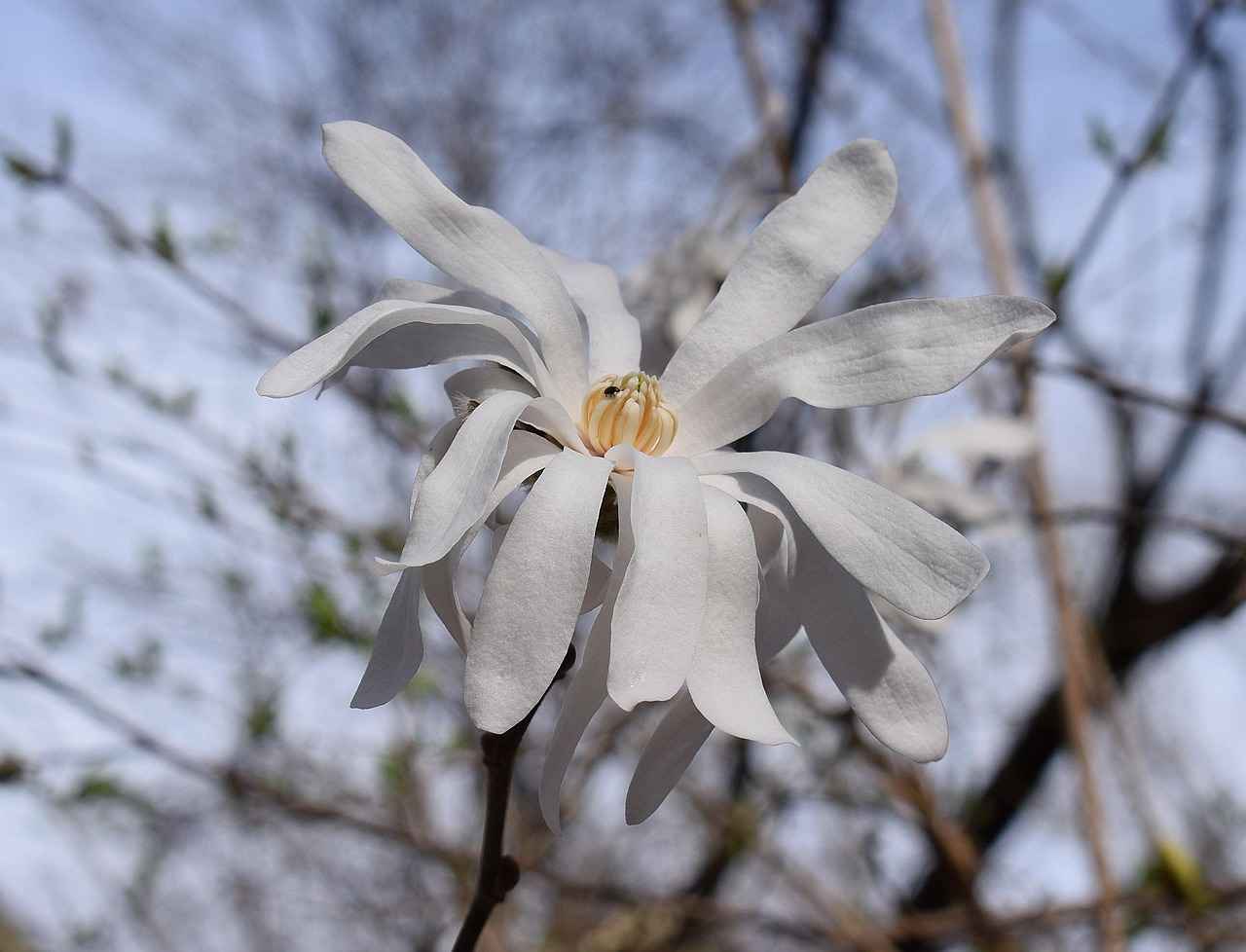 Conclusion: The Lasting Impact of Guest Blogging