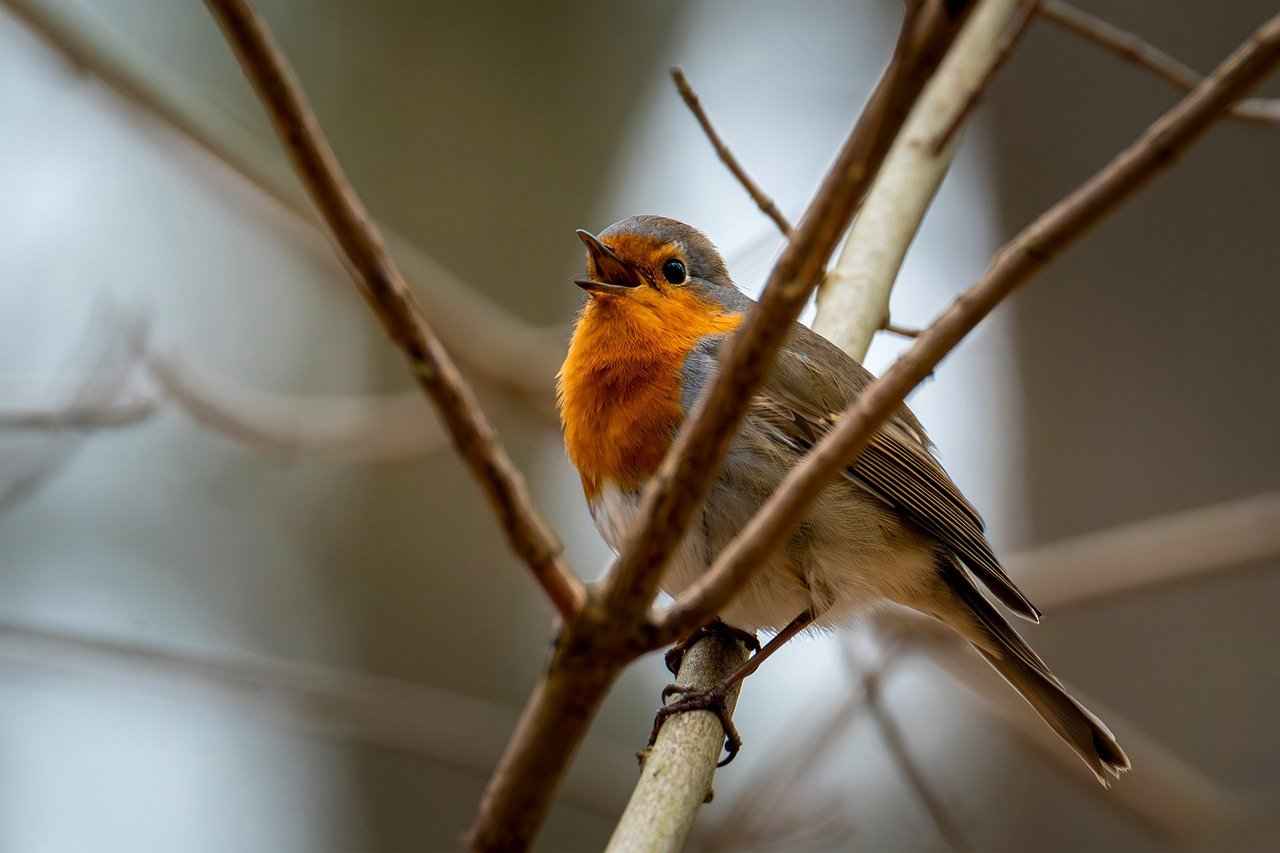 Building Relationships with Blog Owners