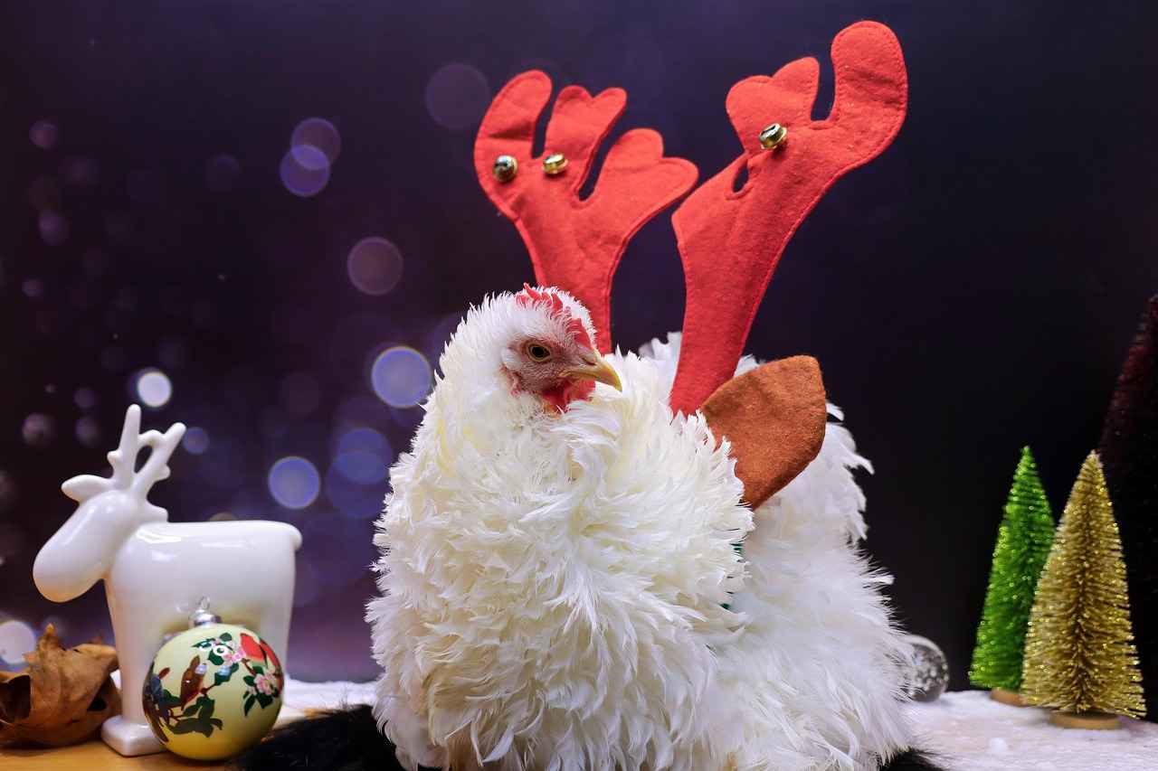 Haircut Styles for Curly Hair Female: Best Cuts to Enhance Natural Curls 5 What Styling Techniques Work Best for Curly Hair?