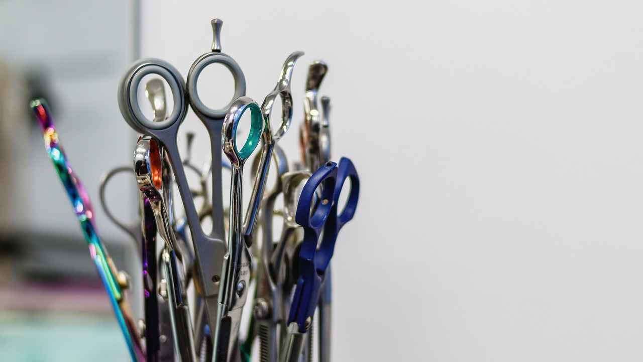 What Are the Trending Medium Length Haircuts for 2024?