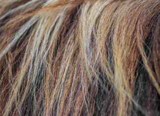 Haircut Styles for Thin Hair: Best Cuts to Create Volume and Fullness Haircut Styles for Thin Hair: Best Cuts to Create Volume and Fullness